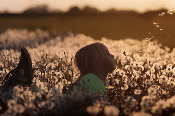 flowers-600x400-min flowers-600x400-min